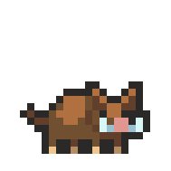 Boar